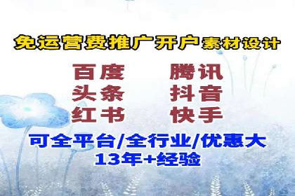 行业领先SEM托管代运营案例